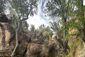 Las Vegas: Family Friendly Guided Hike to Emerald Falls