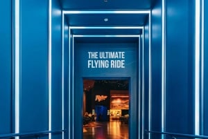 Las Vegas: Flyover in Las Vegas Experience-billett