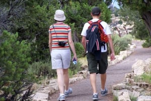 Las Vegas: Grand Canyon South Rim Walking Tour i liten gruppe