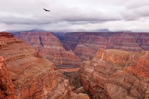 Las Vegas: tour di atterraggio in elicottero sul Grand Canyon