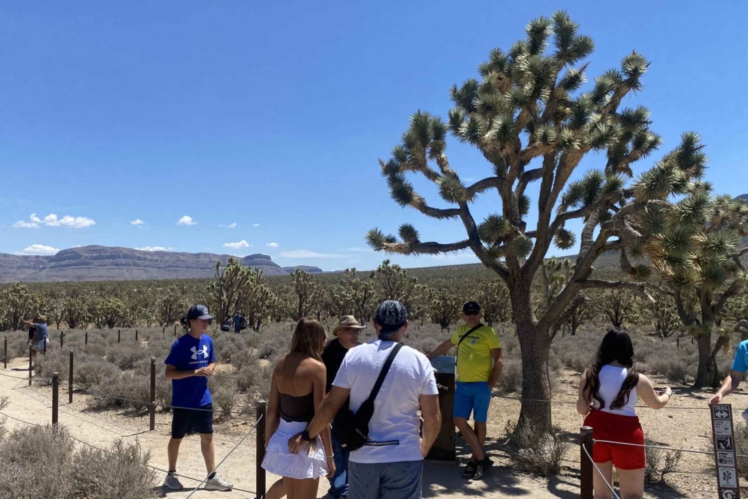 Las Vegas: Grand Canyon-helikoptervlucht & ranchavontuur per bus