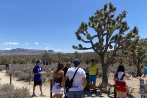 Las Vegas: Grand Canyon-Hubschrauberflug & Ranch-Abenteuer mit Bus