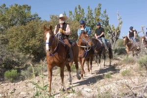 Las Vegas: Aventura en helicóptero y rancho western en el Gran Cañón