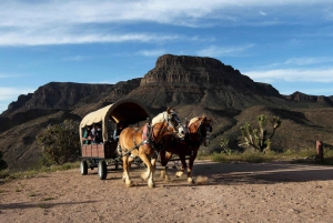 Las Vegas: Grand Canyon Helicopter Western Ranch Adventure