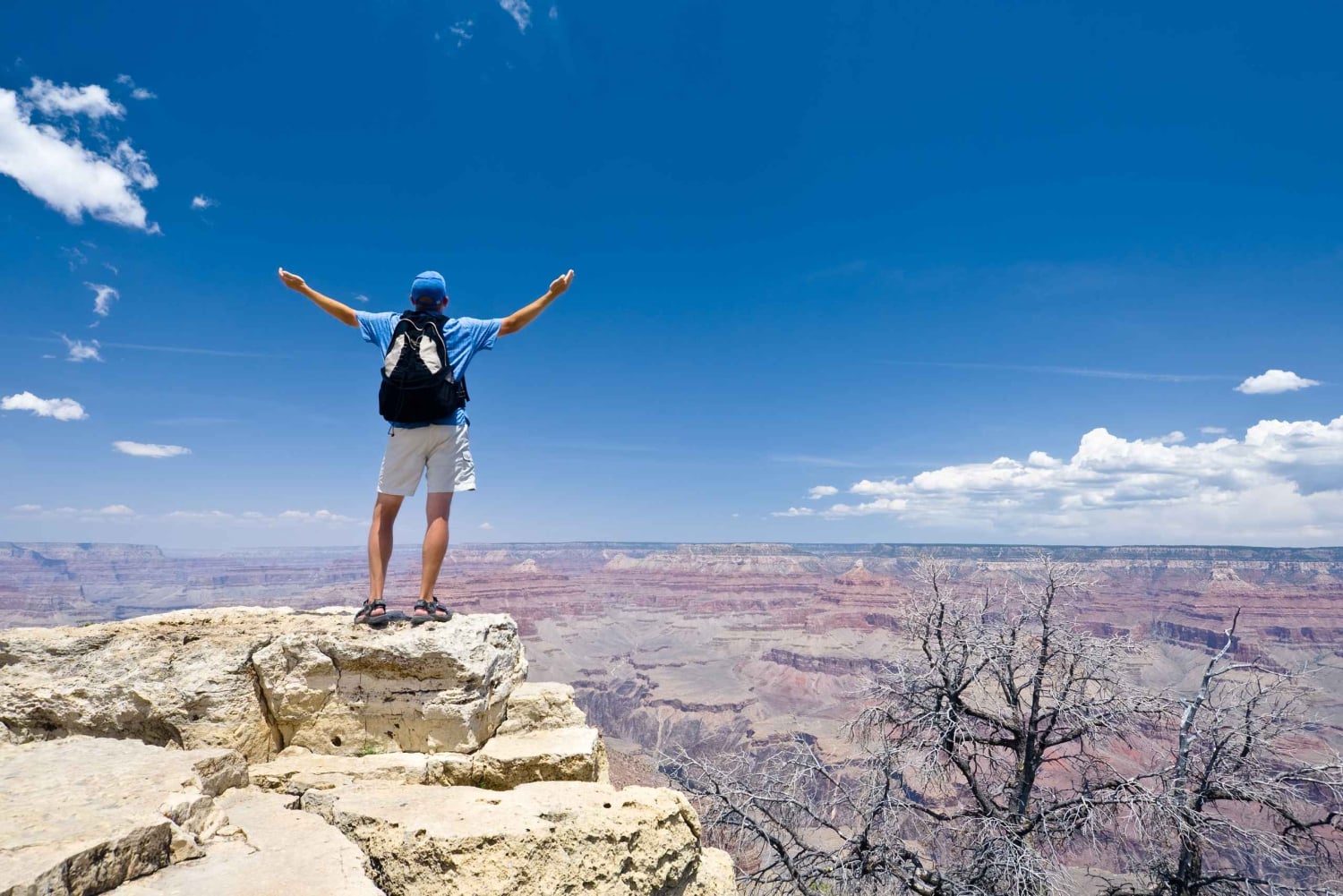 Las Vegas: Dagstur til Grand Canyon National Park
