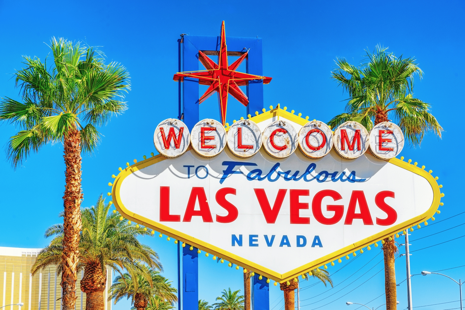 Las Vegas: Grand Canyon National Park South Rim Privat tur