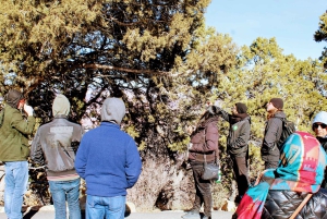 Las Vegas: Grand Canyon National Park South Rim Privat tur