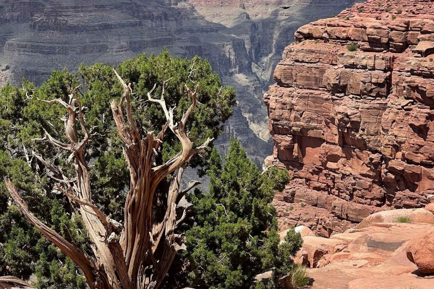 Grand Canyon West m/ lunsj, stopp ved Hoover Dam og oppgradering av Skywalk