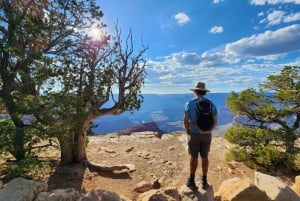 Las Vegas: Parco Nazionale del Grand Canyon con pranzo e WiFi gratuito