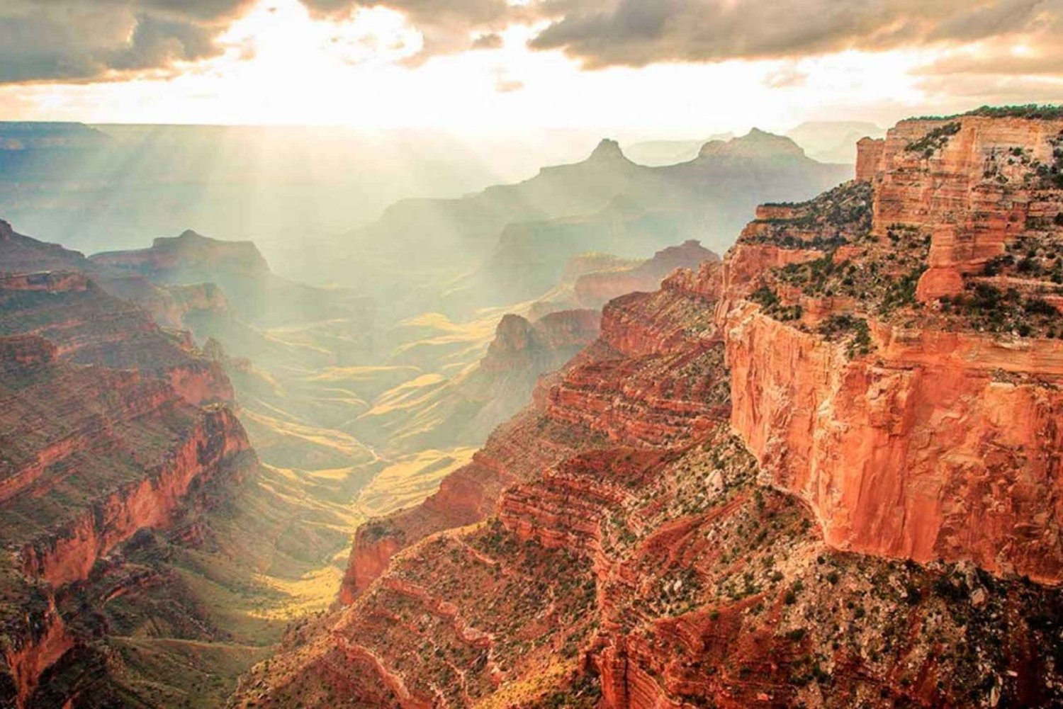 Las Vegas: Tour privato del Grand Canyon in spagnolo