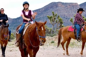 Las Vegasissa: Grand Canyon Ranch Tour hevosen selässä/vaunuajelulla