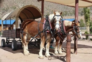 Las Vegas: Grand Canyon Ranch Tour med ridning/vagnstur