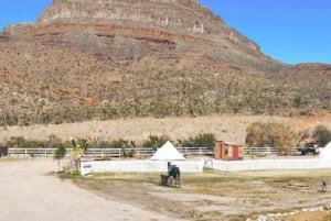 Las Vegas: Grand Canyon Ranch Tour met paardrijden/wagenrit