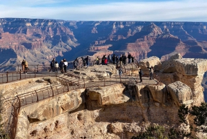Las Vegas: Excursão de um dia ao Parque Nacional do Grand Canyon com almoço