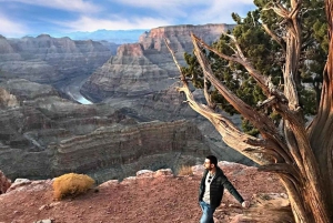 Las Vegas: Grand Canyon West Rim Tour with Optional Skywalk