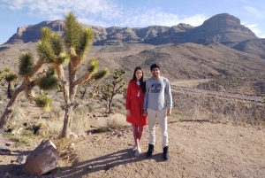 Las Vegas:Grand Canyon West Tour, Ranch Lunch, Skywalk Entry