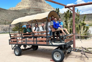 Las Vegas:Grand Canyon West Tour, Ranch Lunch, Skywalk Entry