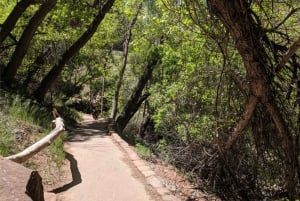 Las Vegas: 3-dagers tur til Grand Canyon, Zion og Monument Valley