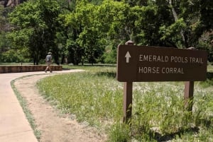 Las Vegas: 3-dagers tur til Grand Canyon, Zion og Monument Valley