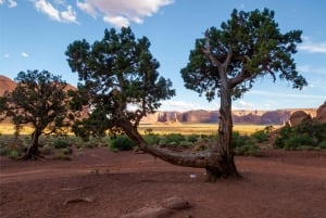 Las Vegasissa: Grand Canyon, Zion ja Monument Valley: 3-päiväinen matka