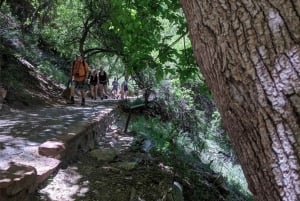 Las Vegasissa: Grand Canyon, Zion ja Monument Valley: 3-päiväinen matka