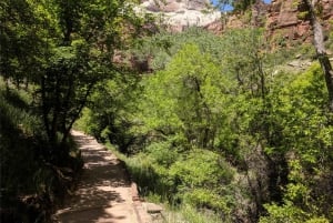 Las Vegasissa: Grand Canyon, Zion ja Monument Valley: 3-päiväinen matka