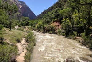 Las Vegasissa: Grand Canyon, Zion ja Monument Valley: 3-päiväinen matka