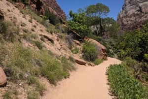 Las Vegasissa: Grand Canyon, Zion ja Monument Valley: 3-päiväinen matka