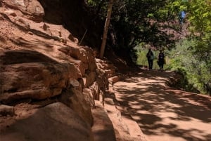 Las Vegasissa: Grand Canyon, Zion ja Monument Valley: 3-päiväinen matka