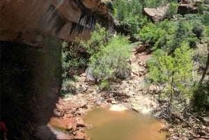 Las Vegasissa: Grand Canyon, Zion ja Monument Valley: 3-päiväinen matka