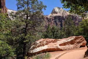 Las Vegasissa: Grand Canyon, Zion ja Monument Valley: 3-päiväinen matka