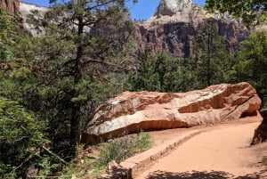 Las Vegasissa: Grand Canyon, Zion ja Monument Valley: 3-päiväinen matka