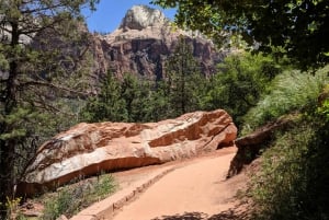 Las Vegasissa: Grand Canyon, Zion ja Monument Valley: 3-päiväinen matka