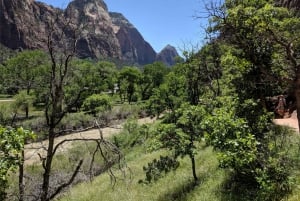 Las Vegasissa: Grand Canyon, Zion ja Monument Valley: 3-päiväinen matka