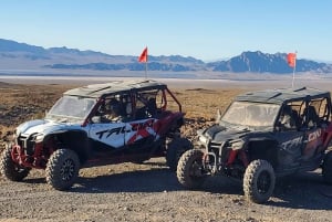 Las Vegas: Guidet Las Vegas ørkenbuggytur