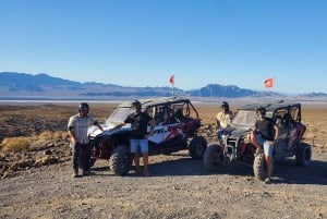 Las Vegas: Guidet Las Vegas ørkenbuggytur