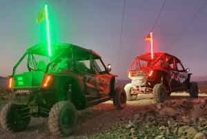 Las Vegas: Guidet Las Vegas ørkenbuggytur