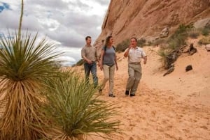 Лас-Вегас: Комбо-тур 'Дамба Гувера и Долина огня