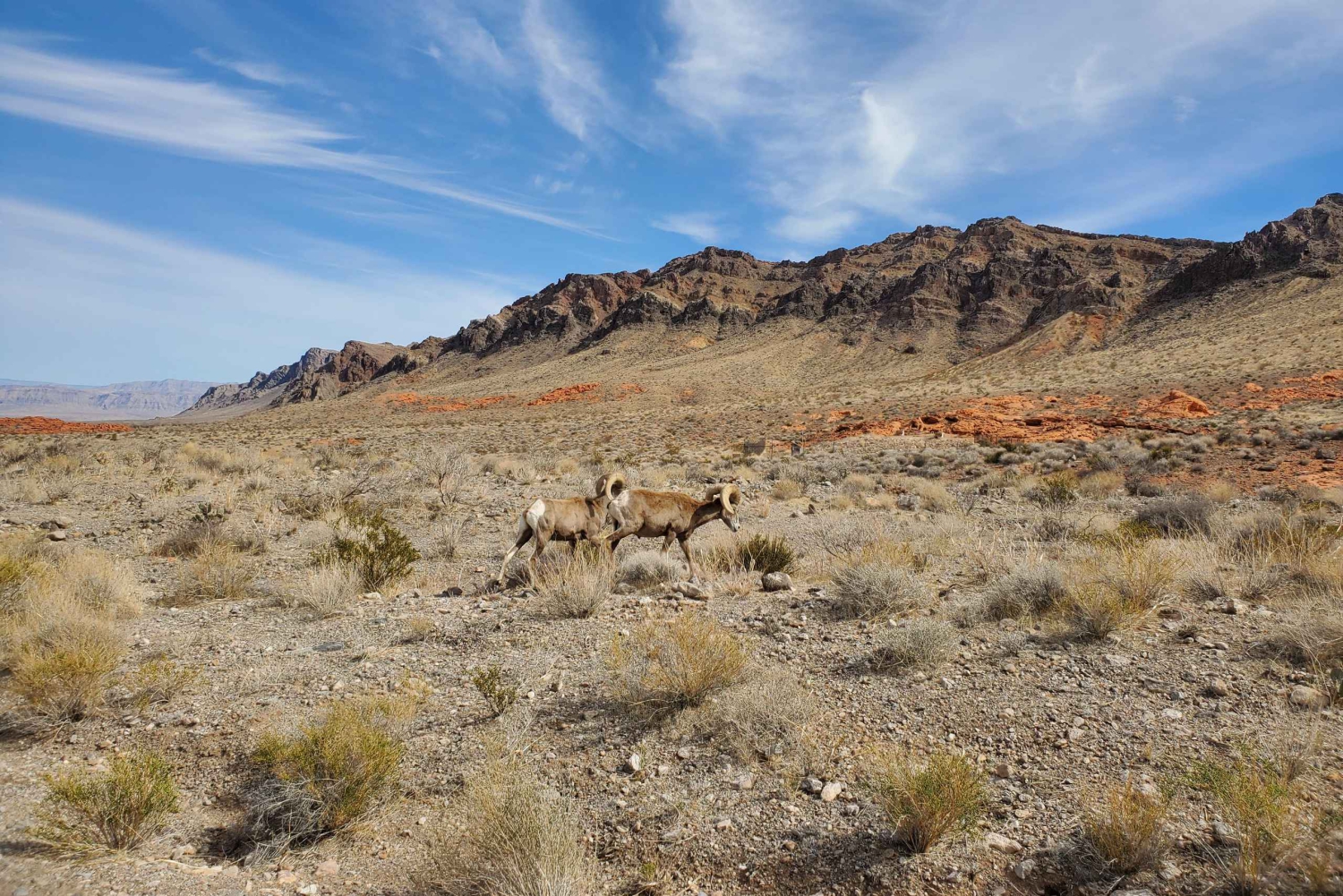 Las Vegas: excursión de un día a la presa Hoover y el Valle del Fuego con brunch