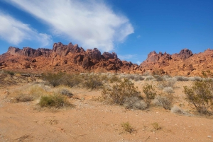 Las Vegas: excursión de un día a la presa Hoover y el Valle del Fuego con brunch