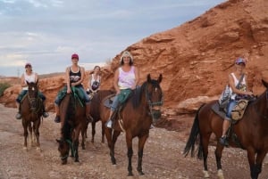 Las Vegas: Tour a cavallo con pranzo