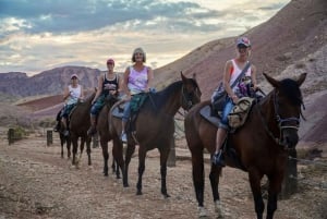 Las Vegas: Tour a cavallo con pranzo