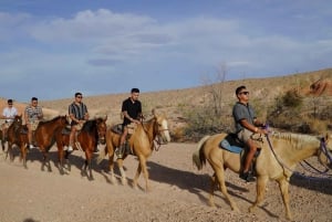 Las Vegas: Passeio a cavalo com almoço