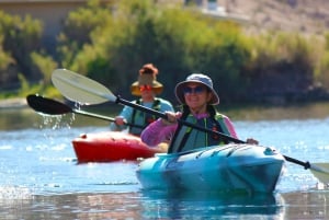 LAS VEGAS: Scenic Escape: Guided Kayaking - Self Drive