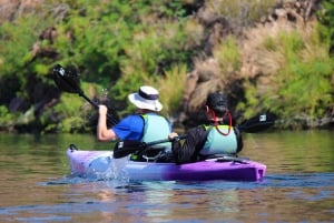 LAS VEGAS: Fuga scenica: Kayak guidato - Guida autonoma