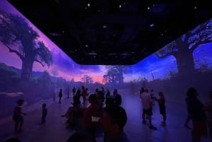 Las Vegas: bilety na Illuminarium Immersive Experience