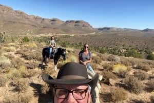 Paseo a caballo por el bosque de Joshua Tree con búfalo y almuerzo