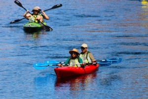 LAS VEGAS : Location de kayak - autoguidage