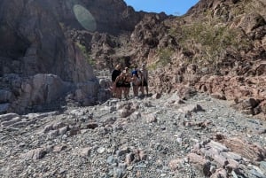 Las Vegas: Wycieczka kajakiem do Cranes Nest Wash ze zdjęciami