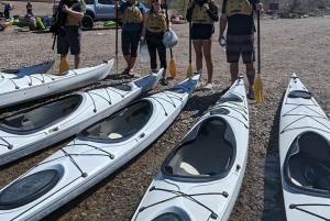 Las Vegas: Kayak Tour to Cranes Nest Wash with Photos